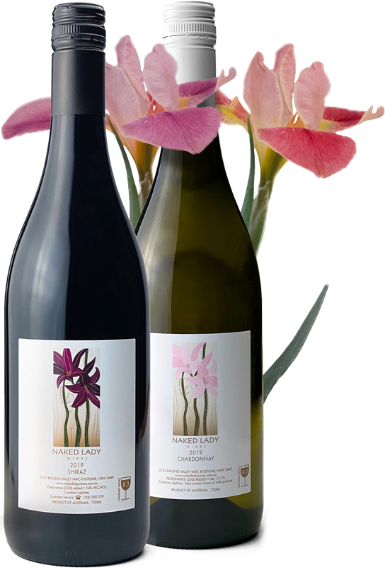 Naked Lady Wine Bottles with Amaryllis belladonna flowers